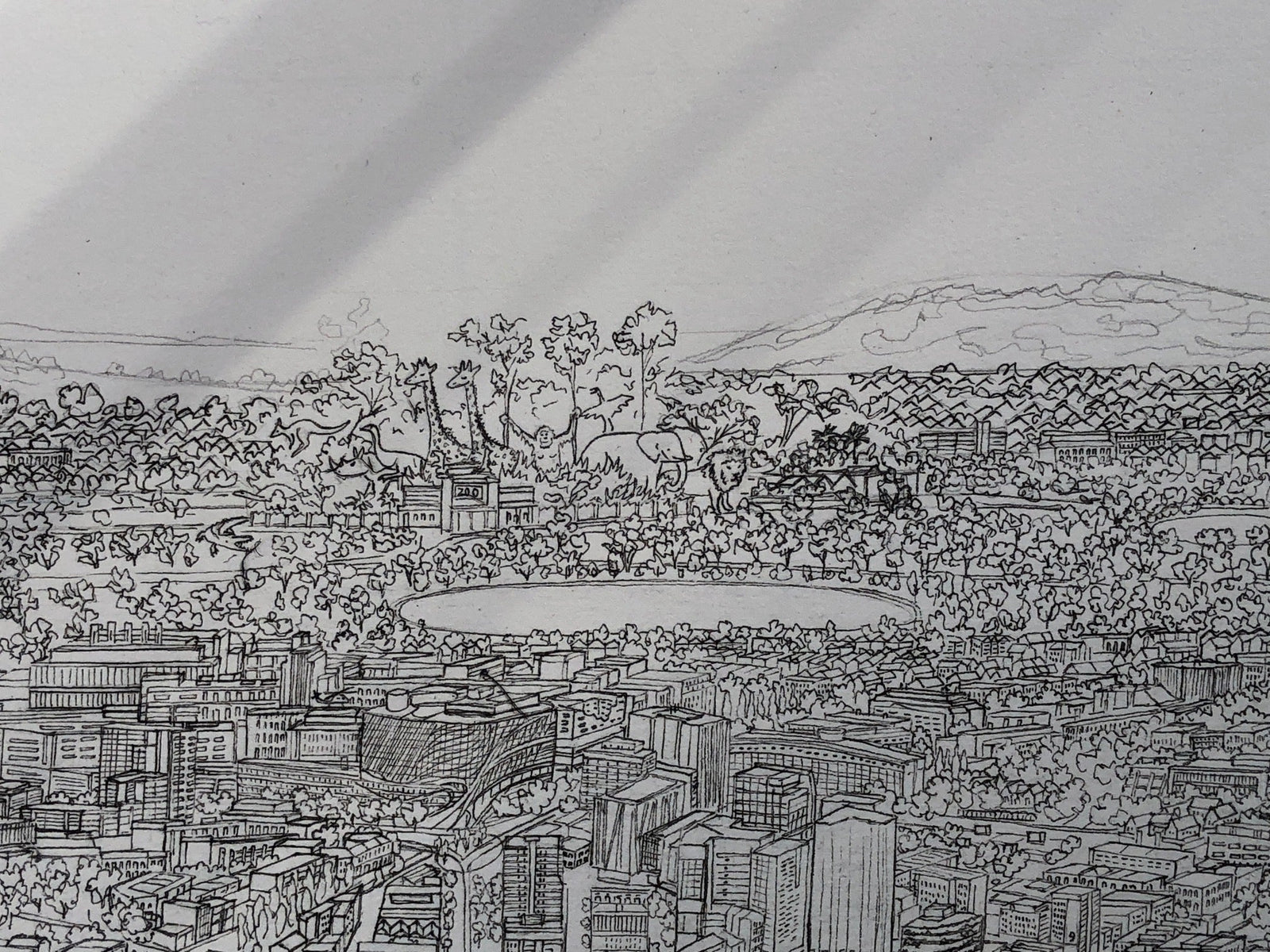 A spring in our step.