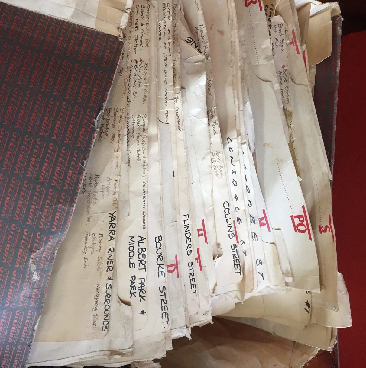 Who knew I’d find these in the shed?